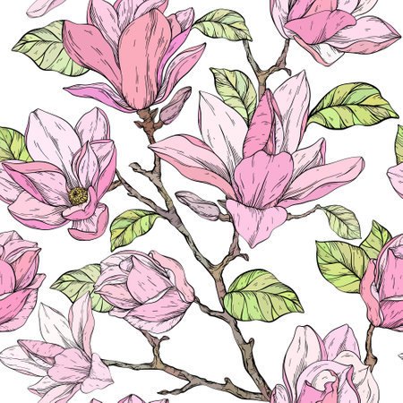Beautiful pattern with magnolia flowers plants.のイラスト素材