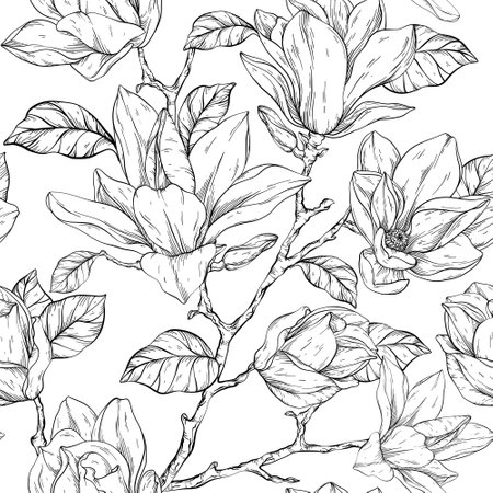 Beautiful pattern with magnolia flowers plants. Black and whiteのイラスト素材
