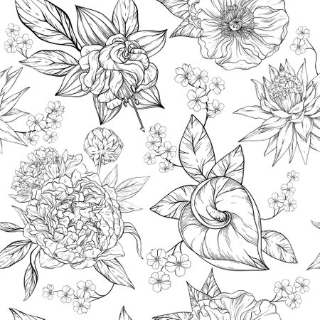 black and white hand draw seamless pattern with elegant flowers, blossoming floral elementsの写真素材