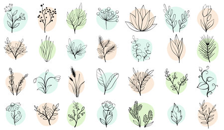 Vector set sketch hand drawn flowersのイラスト素材