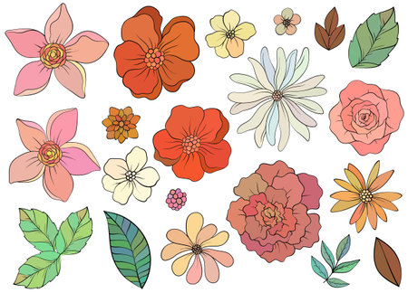 Set of wild Hand drawn flowersのイラスト素材