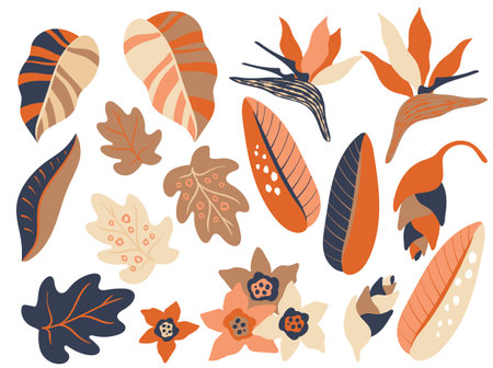 Abstract Bird of Paradise Jungle plants setのイラスト素材