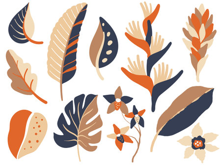 orchid flowers and Jungle plants setのイラスト素材