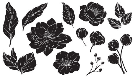Set of elements with silhouettes of flowers.のイラスト素材
