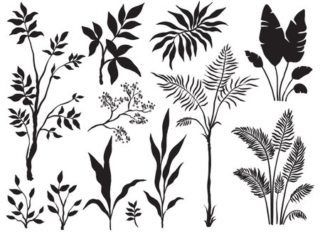 Set of silhouette palm trees and plants on white backgroundのイラスト素材