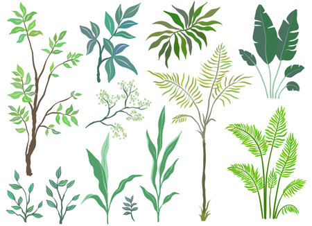 Set of palm trees and plants on white backgroundのイラスト素材