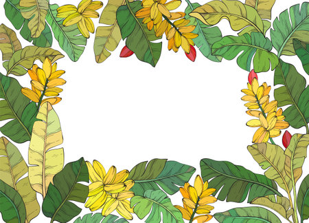 square frame adorned with Tropical vector banana palm leaves and flowersのイラスト素材