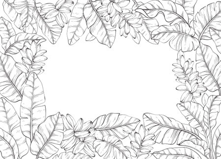 line art square frame adorned with Tropical vector banana palm leaves and flowersのイラスト素材