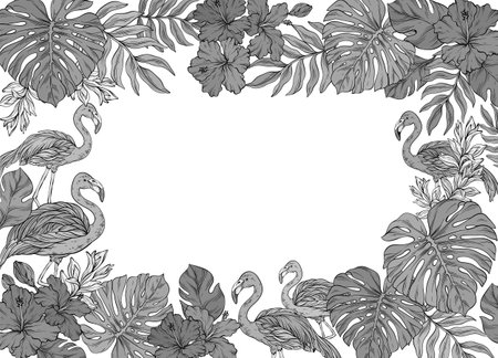 monochrome square frame adorned with pink flamingo and tropical palm leaves and flowersのイラスト素材