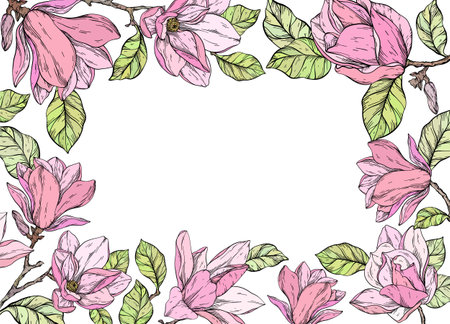 Beautiful square frame with magnolia flowers plants.のイラスト素材
