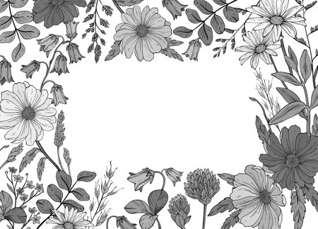 monochrome square frame of different wild herbs and flowerのイラスト素材