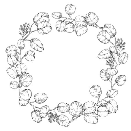 Line art circular wreath made of Eucalyptus leaves and Foliageのイラスト素材
