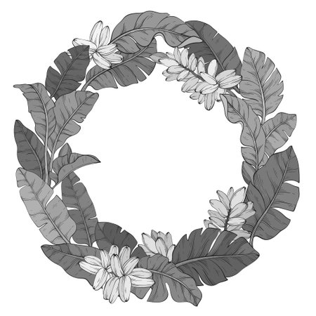 monochrome circular wreath made of Tropical vector banana palm leaves backgroundのイラスト素材