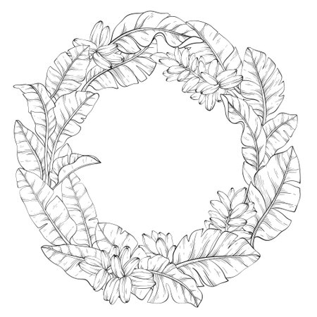 Line art circular wreath made of Tropical vector banana palm leaves backgroundのイラスト素材
