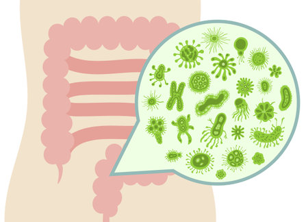 cute and friendly bacteria inside the human intestineのイラスト素材