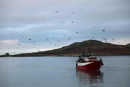 Birds flocking around fishing boatのeditorial素材