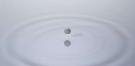 A small milk drop before it fall on the milk surface  You can see the ripple formed by the last drop on the surface の写真素材