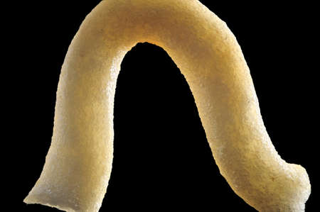 A small piece of instant noodle fragment   4mm  with 4 5X magnification close-up, showing its fried surface details and texture の写真素材
