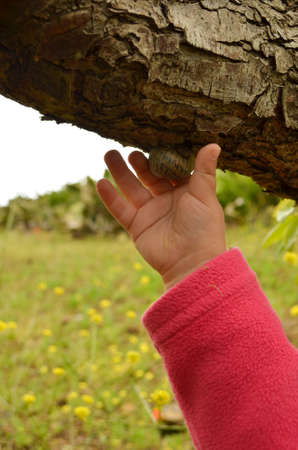The girl finds a snail on a branchの写真素材