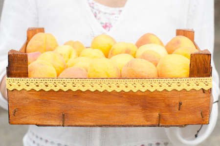 Woman with a nice wooden box full of ripe apricots.の写真素材