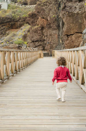 Little baby girl walking on a wooden pathway. Rear view.の写真素材