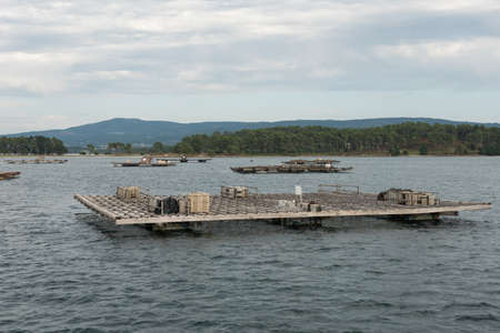 Mussel aquaculture rafts, batea, in Arousa estuary, Galicia, Spainの写真素材