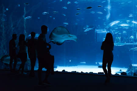 Las Palmas de Gran Canaria, Canary Islands, Spain - July 1st 2018: Visitors enjoy beautiful view of marine life in the biggest tank of new Aquarium Poema del Mar, with the largest curved window of methacrylate for exhibition, which exists in the world.のeditorial素材