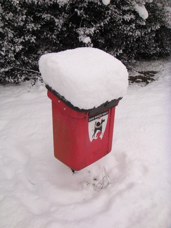 Dog Waste Bin in the Snowの写真素材