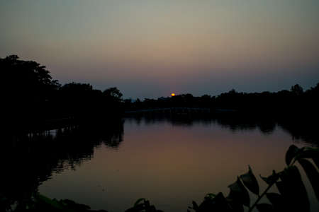 Sunset behind the tree at lake in thailandの写真素材