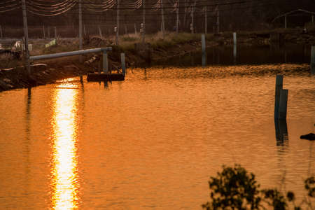 Sunset's reflection on a water. Making light saber shape.の写真素材