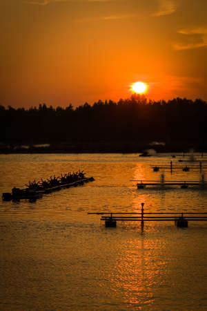 Sunset view from my shrimp farmat south of Thailandの写真素材