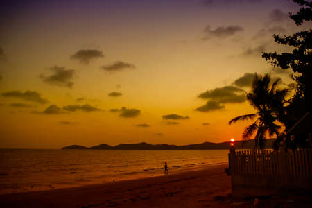 Sunset at Thailand beach with coconut tree.の写真素材
