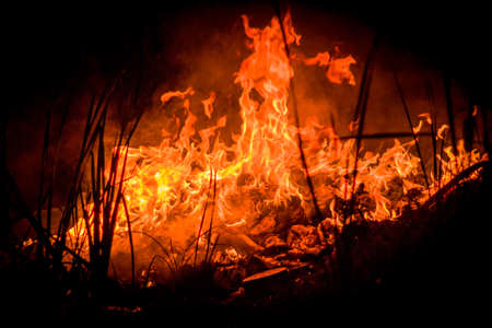 A fire burningの写真素材