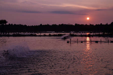 Sun setting at shrimp pound with paddle hitting waterの写真素材