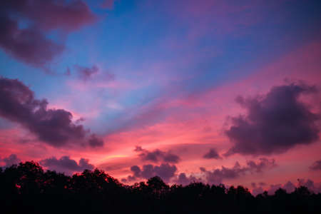 Beautiful dusk sky in shrimp farmの写真素材