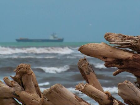 Beach view whit trunks and seaの写真素材