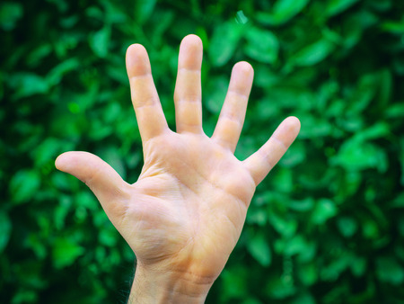 Human hand with green backgroundの写真素材