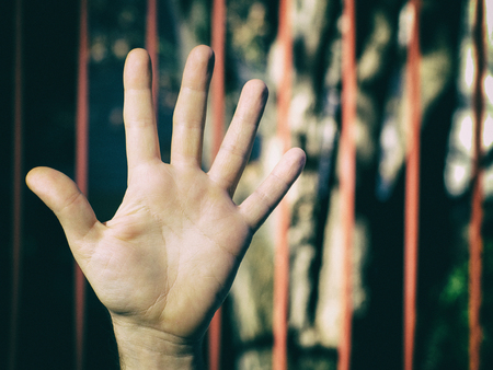 Human hand with orange barsの写真素材