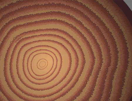 Wooden stump close up isolated. Round log part of the tree with annual rings.のイラスト素材