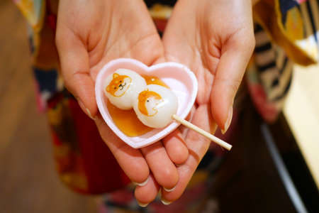 Dango, a kind of Japanese sweets, holding in hands painted with dogs charactersの写真素材