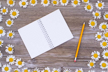 Top view photo of opened blank spiral notepad with yellow pencil on wooden table framed with...
