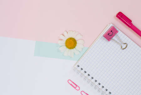 Top view photo of school supplies. Set of open empty spiral notepad, pen, paper clips and chamomile on pink backgroundの写真素材