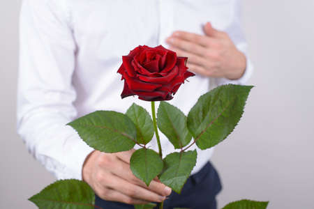 Cropped closeup photo of handsome cheerful husband holding beautiful fascinating flower in hand giving to you isolated grey backgroundの写真素材