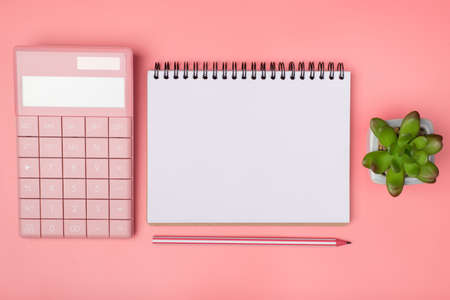 Top above overhead view photo of notebook pencil girlish calculator and a succulent isolated on pastel pink background with empty blank copyspaceの写真素材