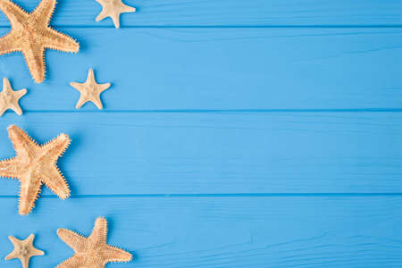 Top above overhead view close-up photo of starfish placed to the left side isolated on blue wooden...