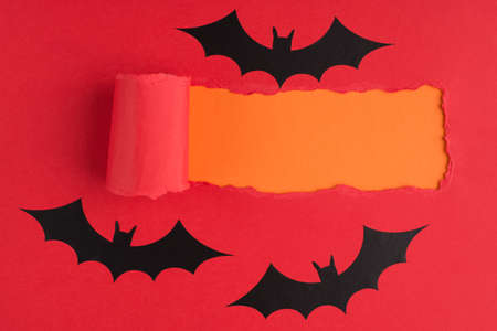 Top above overhead view close-up photo of torn red paper and bats over orange background with copyspaceの写真素材