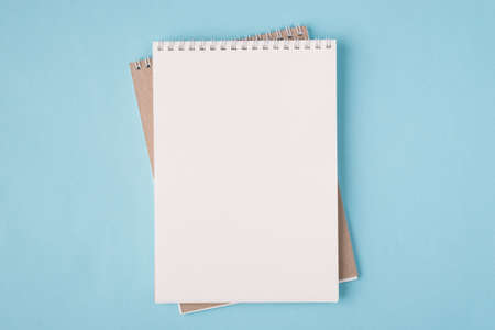 Top above overhead view flat lay photo of a blank notebook isolated on pastel blue color background...