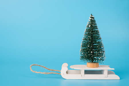 Christmas composition concept. Photo of small little christmas tree standing on white cute sledges...