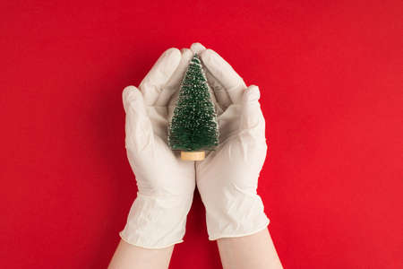 Stay home stay safe social distance on Christmas day concept. Top pov above overhead close up first person view photo of nurse hands holding tree in palms isolated bright color vivid red backgroundの写真素材