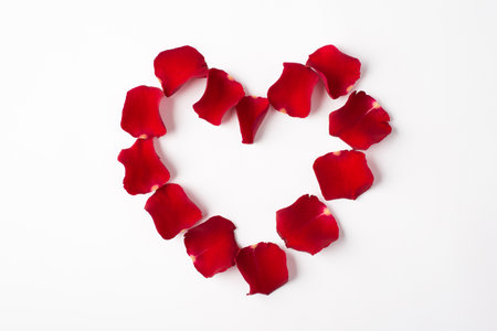 Close up flat lay photo image of red bright rose petals isolated white backgroundの写真素材